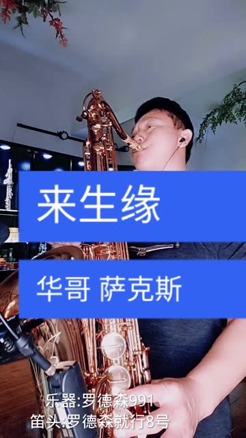 萨克斯演奏-来生缘