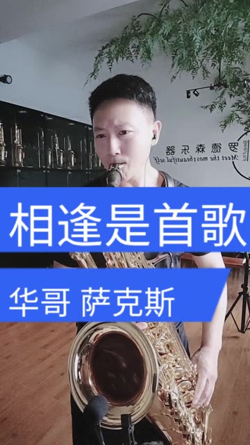 萨克斯演奏-相逢是首歌