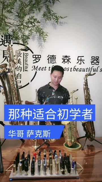 那种萨克斯适合初学者